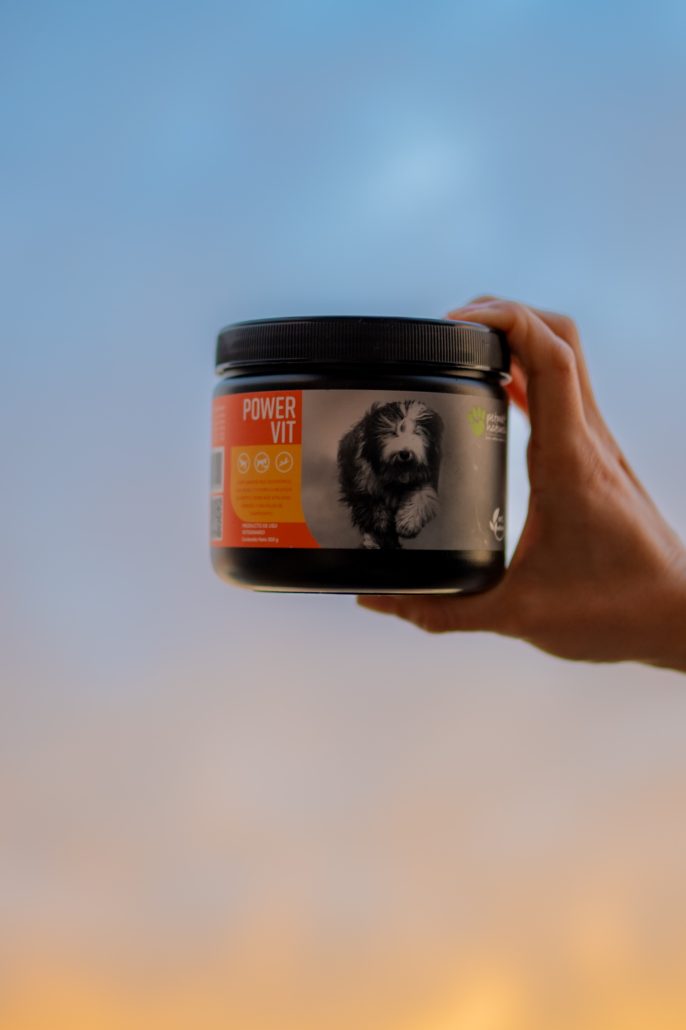 ¿Por qué mi perro se cansa rápido? Causas y cómo mejorar su energía