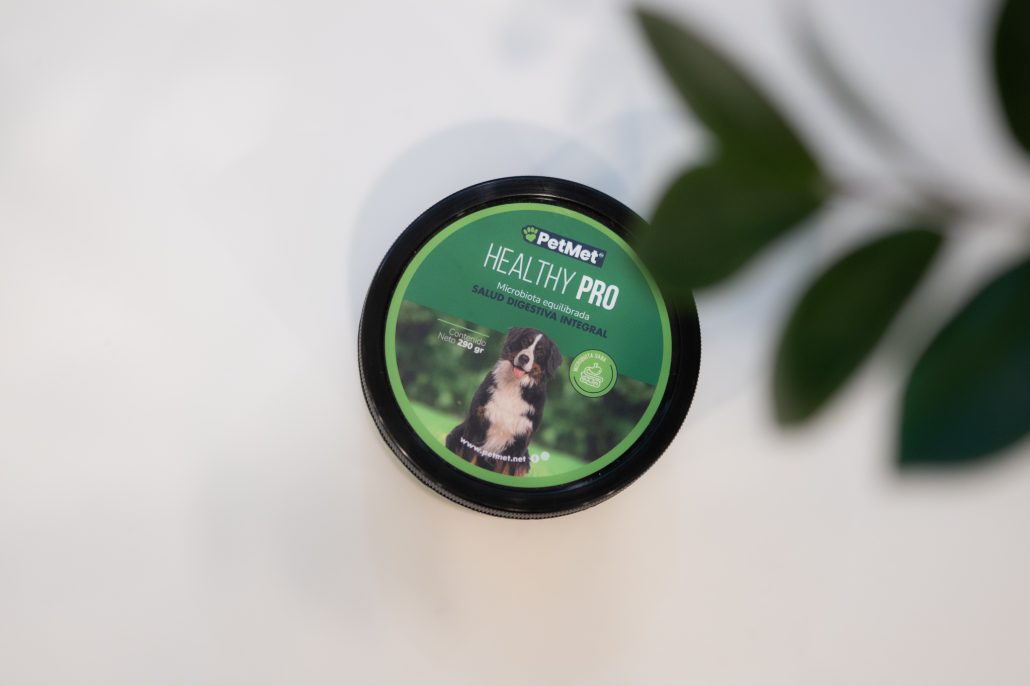 Cómo cuidar la microbiota intestinal de tu perro: guía práctica para mejorar su digestión y defensas