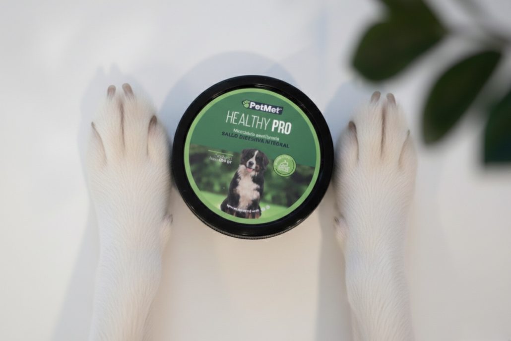 Cómo cuidar la microbiota intestinal de tu perro: guía práctica para mejorar su digestión y defensas